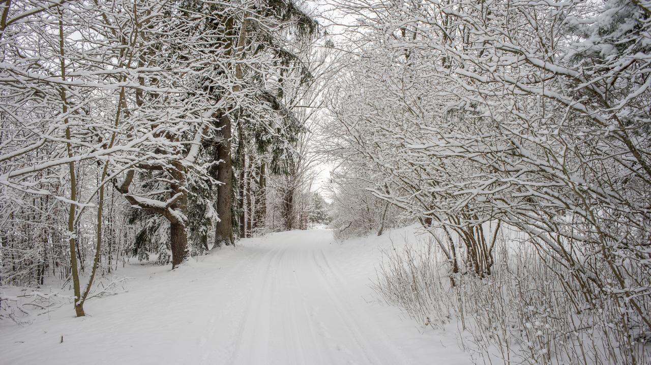 Pogoda na dziś - sobota, 10.01. Miejscami popada śnieg