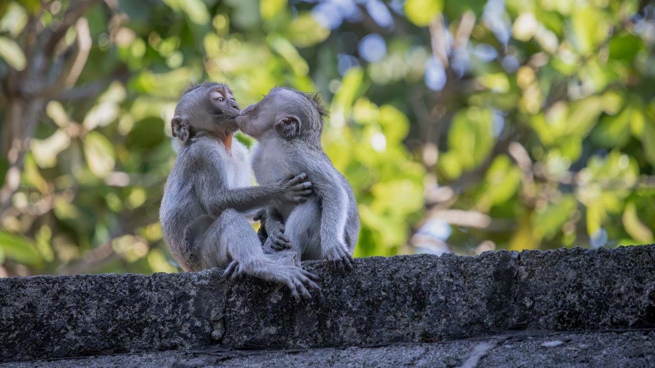 Dlaczego i od jak dawna się całujemy? Naukowcy z Oksfordu zbadali tajemnicę pocałunków