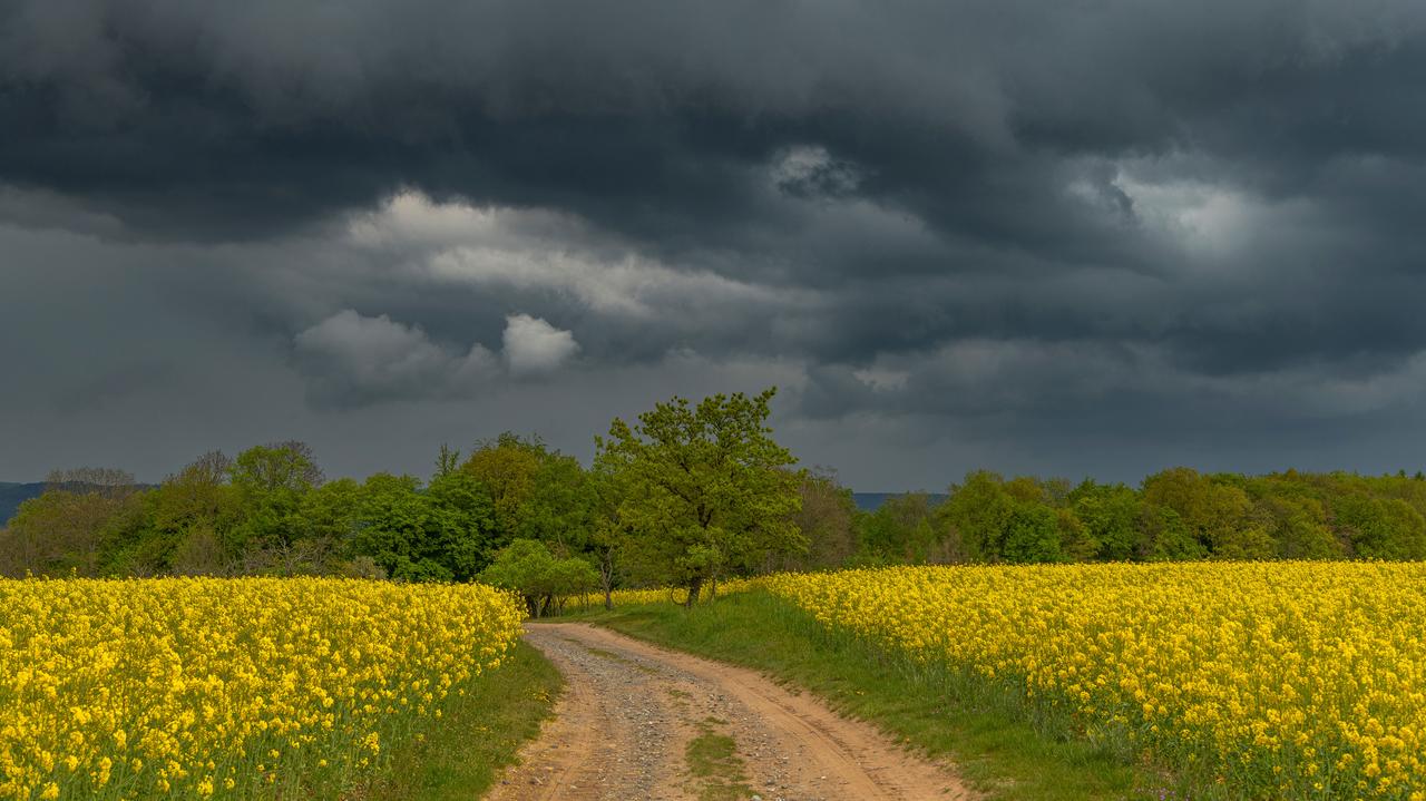 Zwrot w pogodzie już niedługo. Nadchodzi ochłodzenie