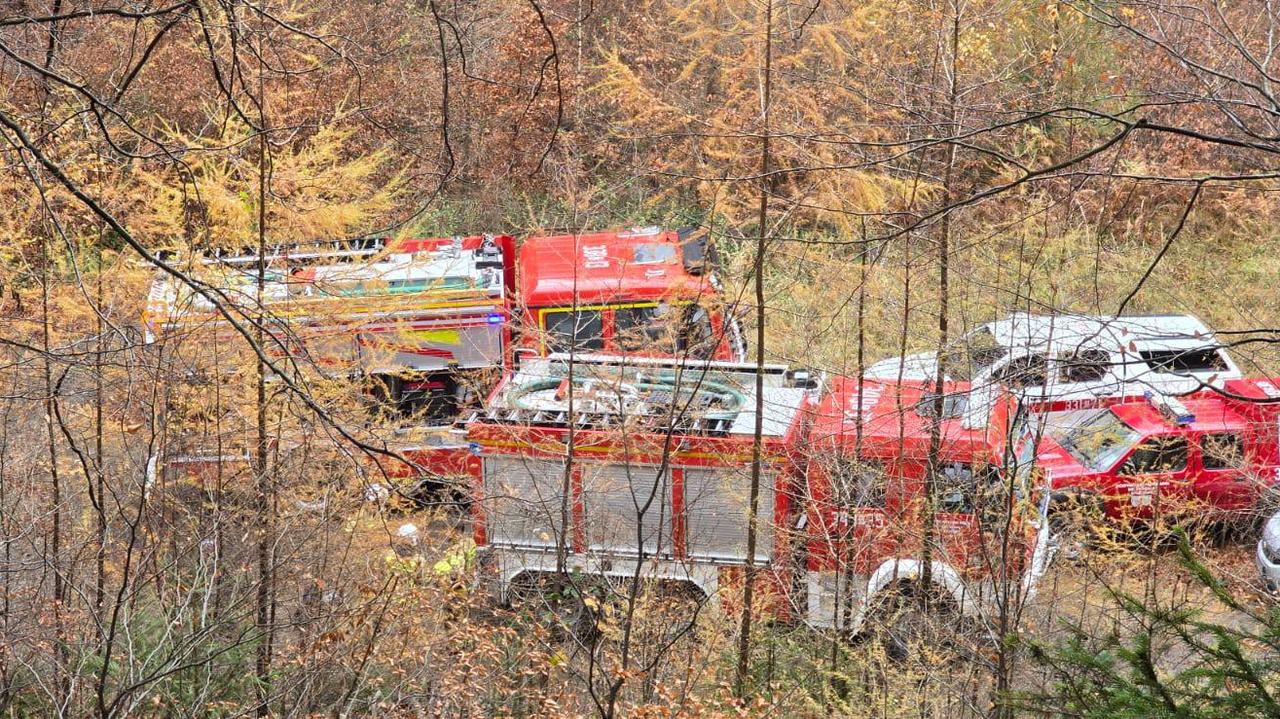 Grzybiarz znalazł fragment czaszki