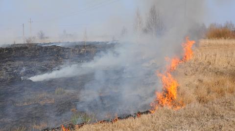 Pożar na wyspie Vir w Chorwacji