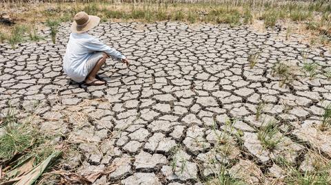 WWF Polska: nasze bezpieczeństwo to nie tylko obronność