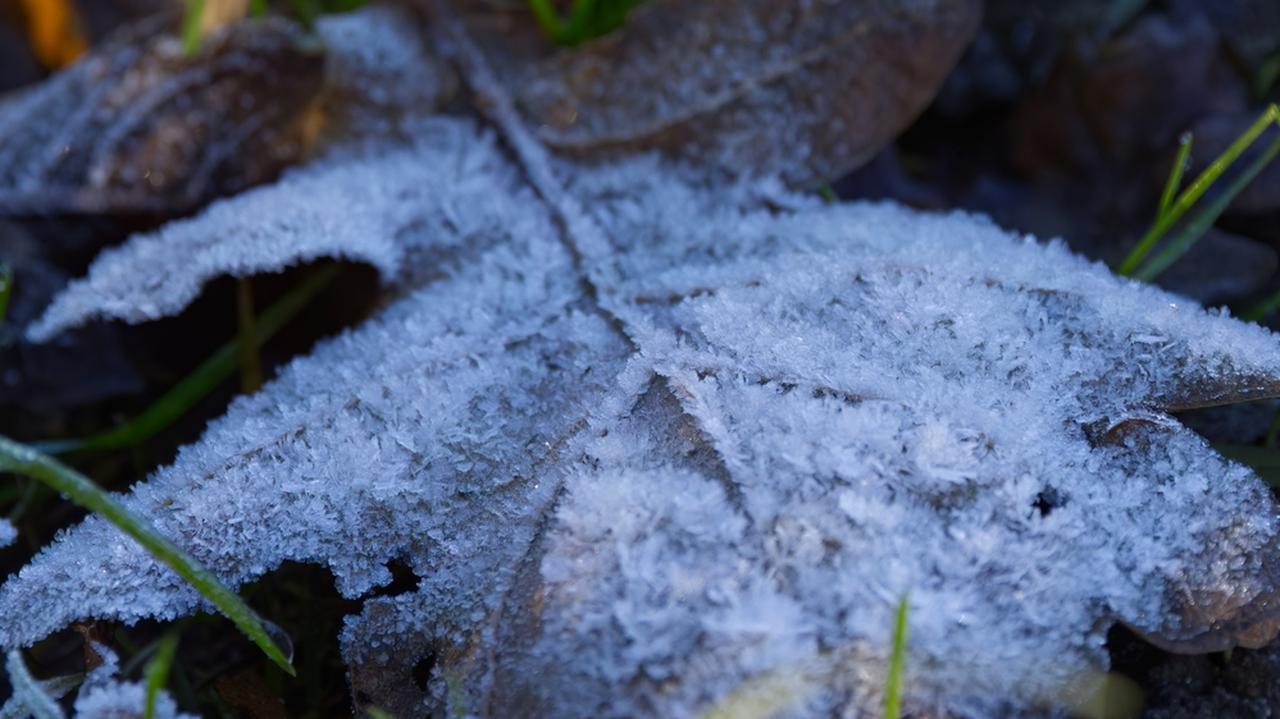 Pogoda na jutro - poniedziałek, 20.10. Nocą temperatura mocno spadnie