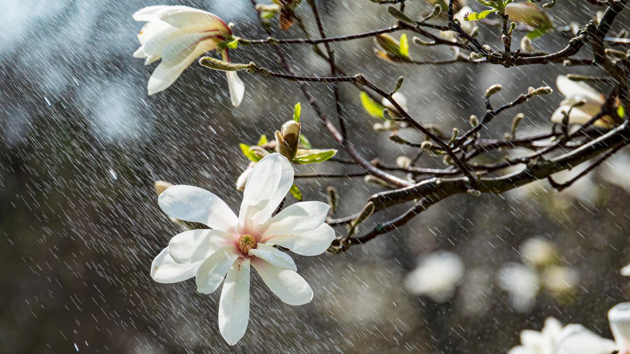 Pogoda na dziś - poniedziałek, 14.04. Deszcz podczas burz będzie dość ulewny