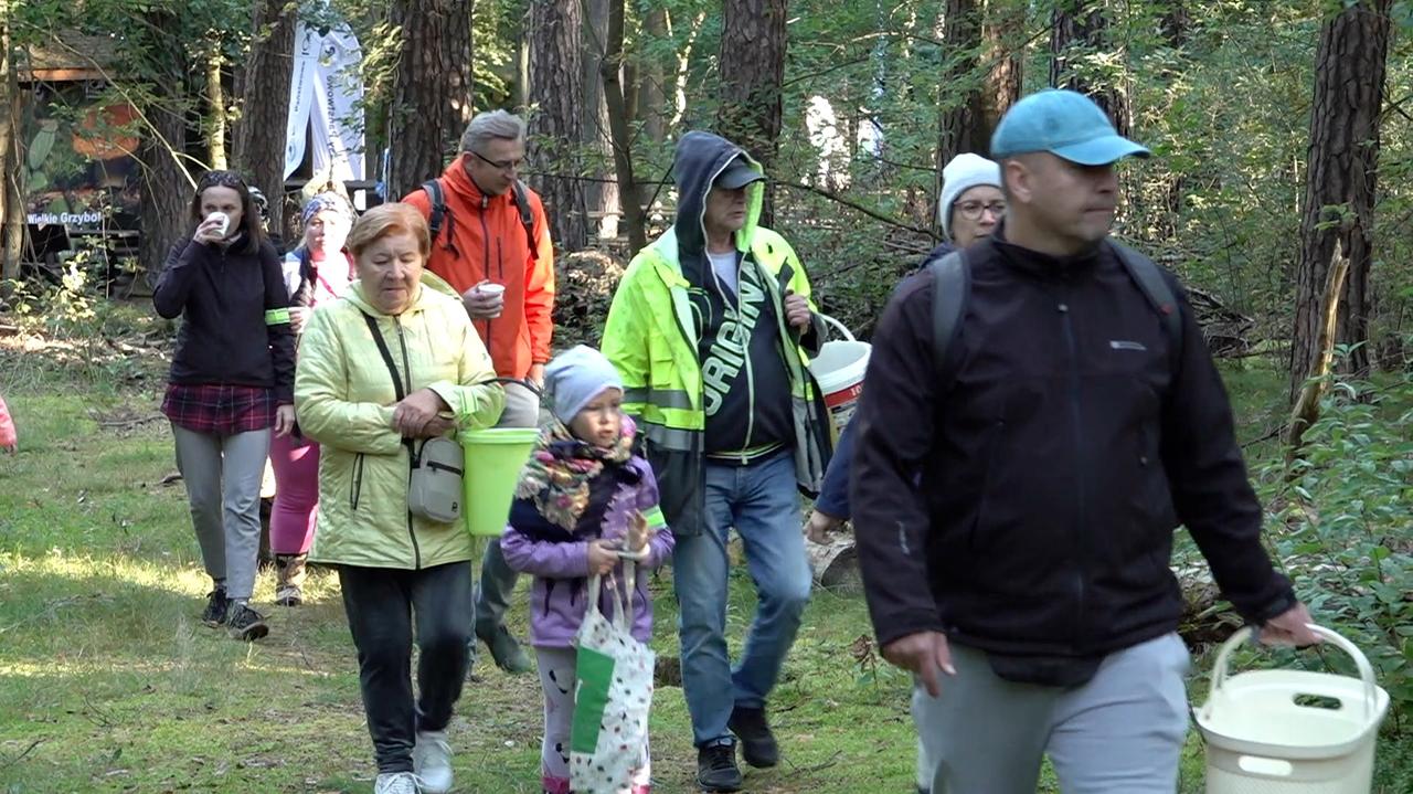 W Puszczy Goleniowskiej po raz 25. odbyły się zawody w grzybobraniu