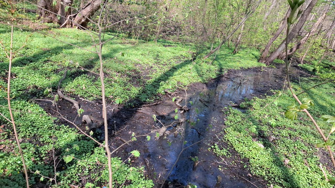 Stary meliorant kontra młodzi inżynierowie. Pokoleniowa zmiana ratunkiem dla rzek?