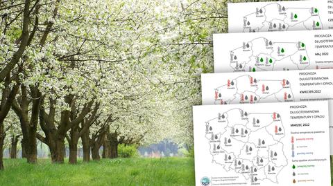 Prognoza temperatury na okres 25-29.04