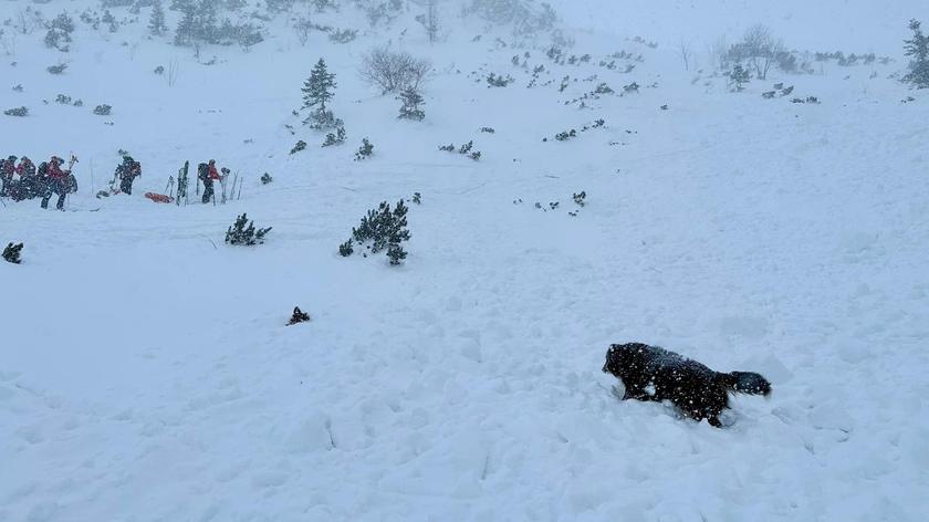 Mały Kościelec. Lawina przysypała turystę, ratownicy wyjęli go spod śniegu (materiał z 02.02.2023)