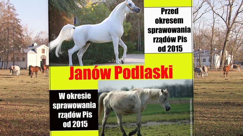 https://tvn24.pl/najnowsze/cdn-zdjecie-9llejb-konkret-janow-2jpg/alternates/LANDSCAPE_840