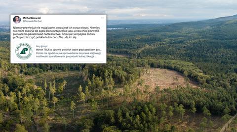 Lasy Państwowe prowadziły w Puszczy Białowieskiej wycinki, argumentując je potrzebą walki z kornikiem drukarzem (zdjęcia z 2017 roku) 