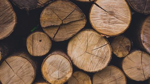 "Polacy umieją liczyć i wiedzą, że to drewno jest względnie tańsze do innych materiałów"