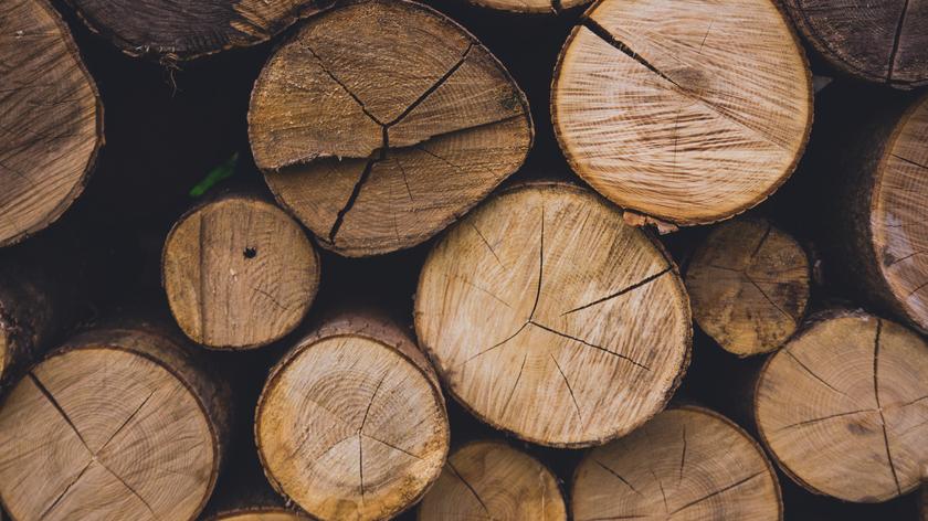 Palenie drewnem jako alternatywa dla węgla