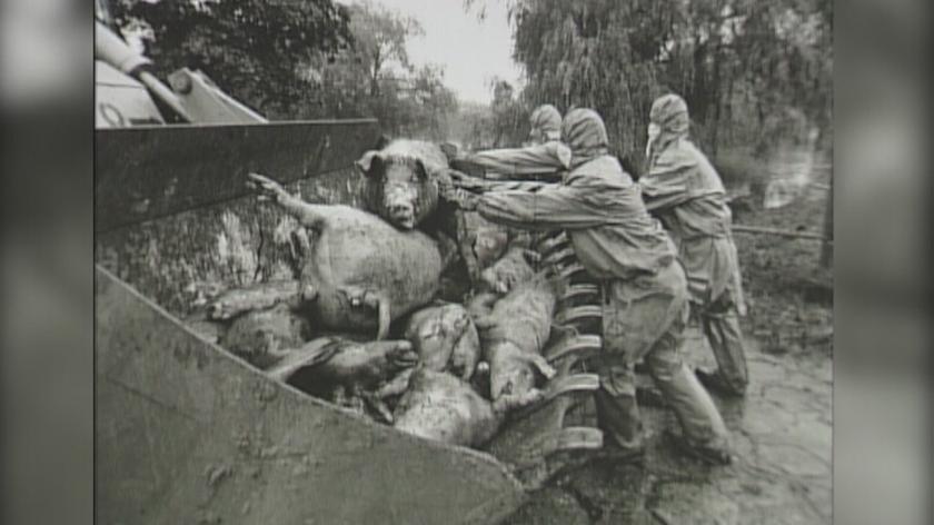 Powódź 1997 r. na zdjęciach Macieja Skawińskiego (materiał Faktów TVN z 1998 r.)