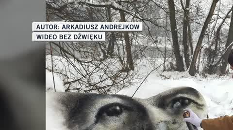 Arkadiusz Andrejkow3 