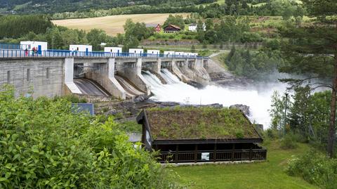 Marta Majewska o cenach energii