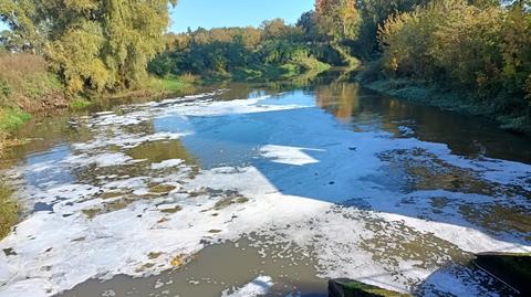 Piana na rzece Prośnie. Pobrano próbki do badań