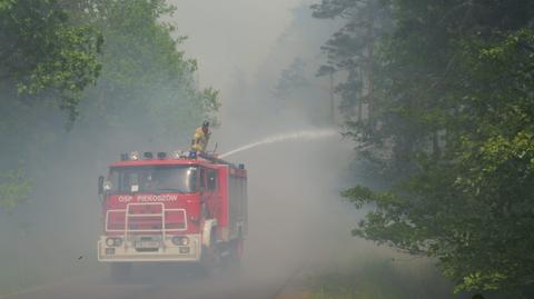 Pożar lasu w Snochowicach (Świętokrzyskie) 