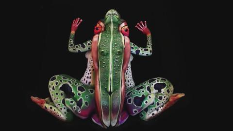 Iluzja żaby