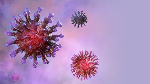 Naukowcy chcą zbadać, czy istnieje gen odporności na koronawirusa