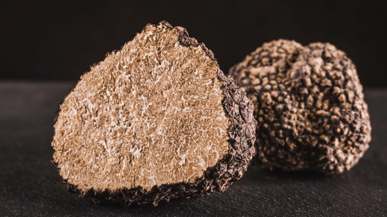 Wydłużony sezon na trufle we Włoszech. Przez anomalie pogodowe jest ich więcej niż jesienią