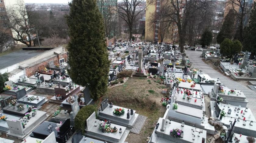 Lublin. Archeolog Grzegorz Mączka zauważył na cmentarzu tajemniczy kopiec. Sądzi, że usypano go około dwutysięcznego roku przed naszą erą (12.05.2023)