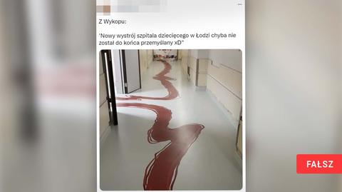 Cieszyn. Szpital Śląski zawiesi działalność pediatrii na trzy miesiące (02.01.2023)