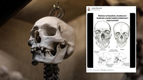 Zdarzały się kości zachowane w stanie idealnym, są również elementy są bardzo delikatne, jak czaszka