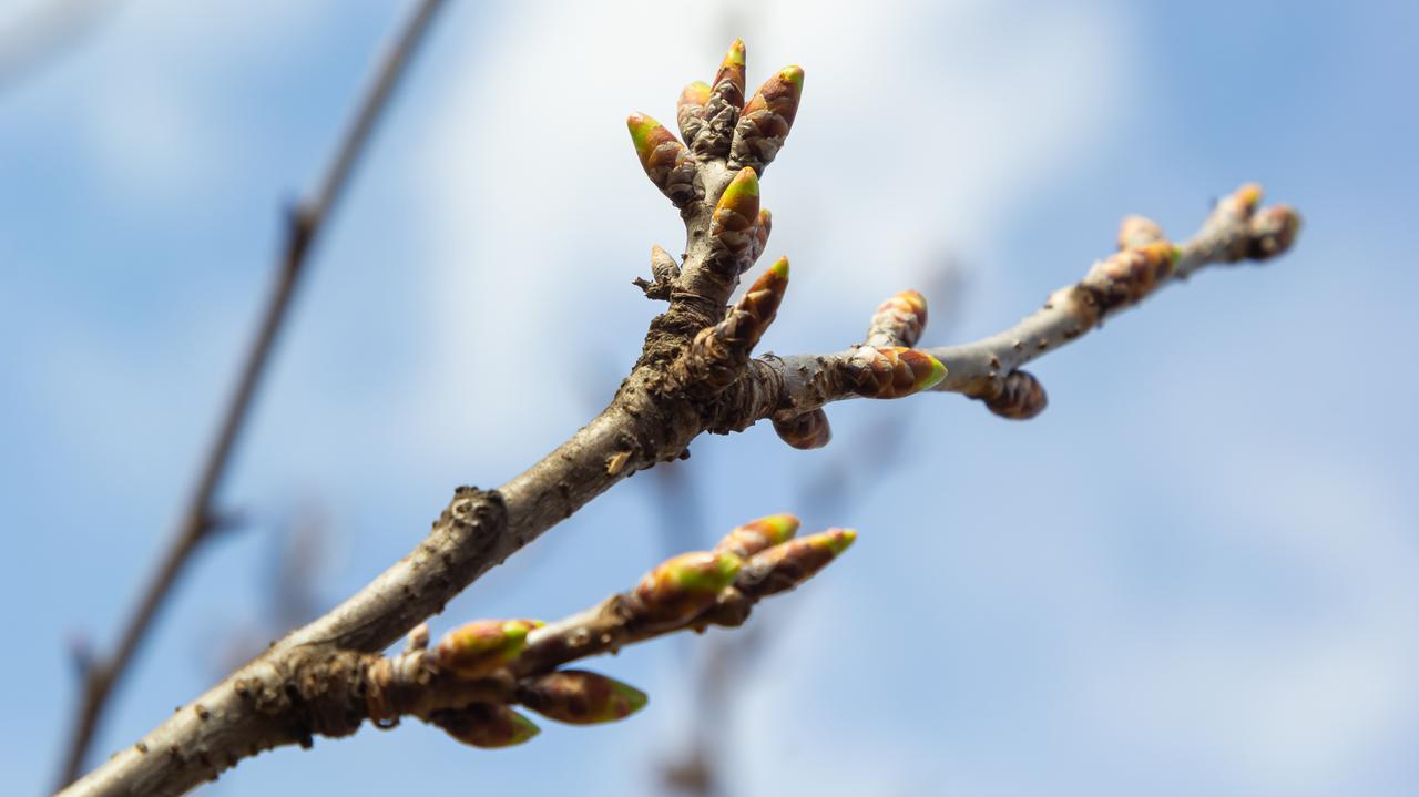 Powietrze znad Afryki rozgrzeje Polskę. Temperatura dużo powyżej średniej