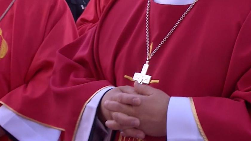 Episkopat odmawia współpracy z komisją ds. pedofilii