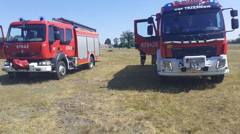 Tury: 15 koni padło w gospodarstwie w ciągu jednej nocy