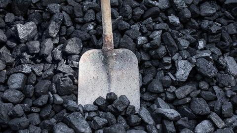Rzecznik rządu: jeszcze w tym miesiącu węgiel ma być tańszy