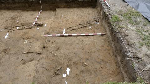 Na terenie ogrodu botanicznego UMCS w Lublinie odkryto nieznany dotąd cmentarz z XII-XIII wieku
