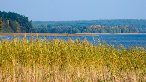 Jezioro Pluszne (woj. warmińsko-mazurskie)