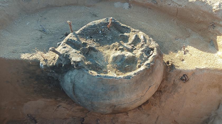 Odkrycia archeologiczne na terenie przyszłej obwodnicy Morawicy. Znaleźli urnę z czasów rzymskich