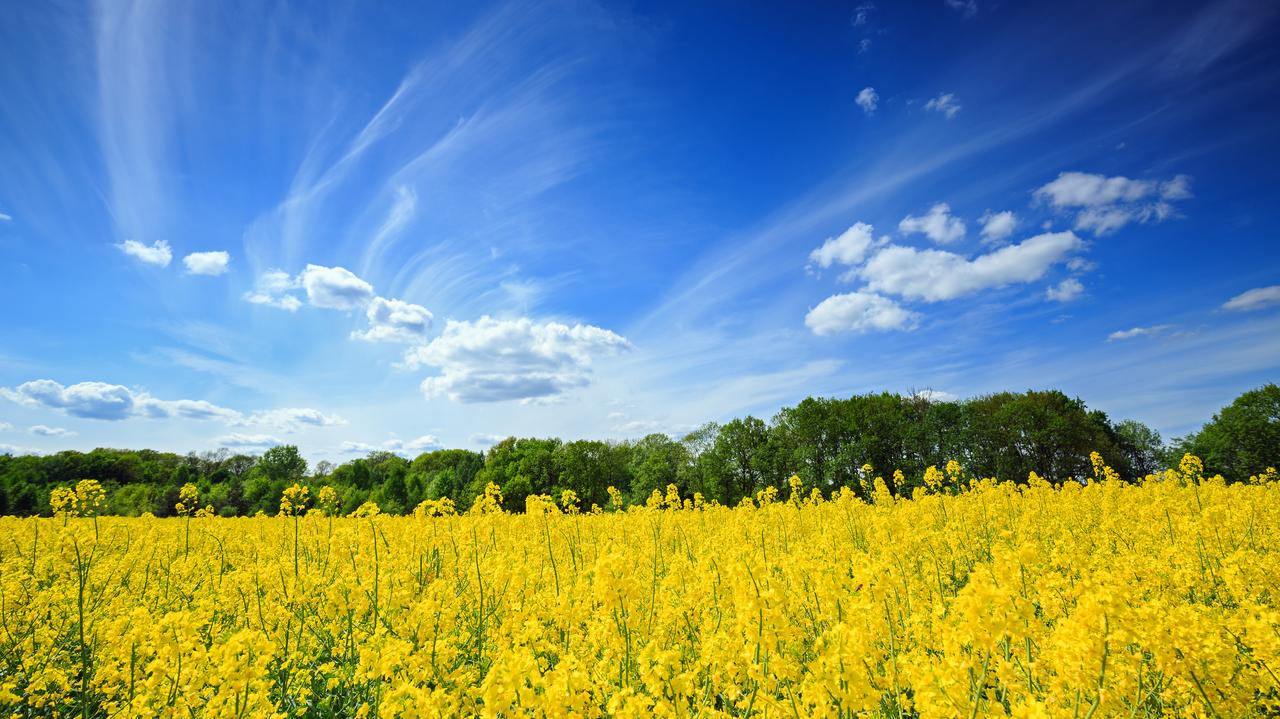 Pogoda na dziś - sobota 26.04. Słoneczna aura będzie miała swoją cenę