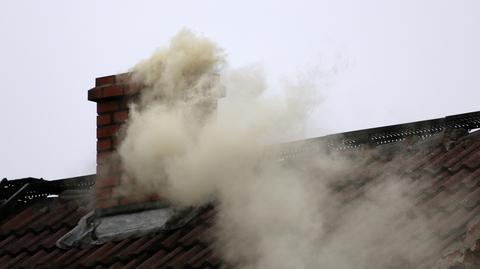 Jak chronić się przed smogiem