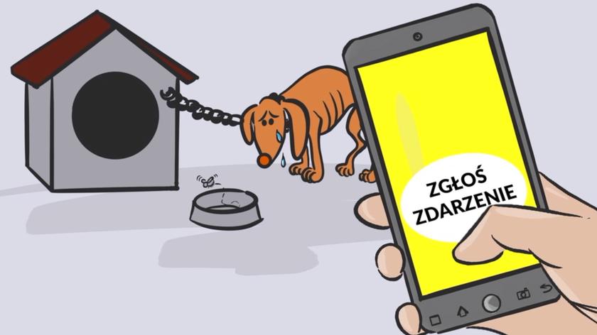 Numer 112 dla zwierząt. Na Pomorzu ruszy nowa aplikacja