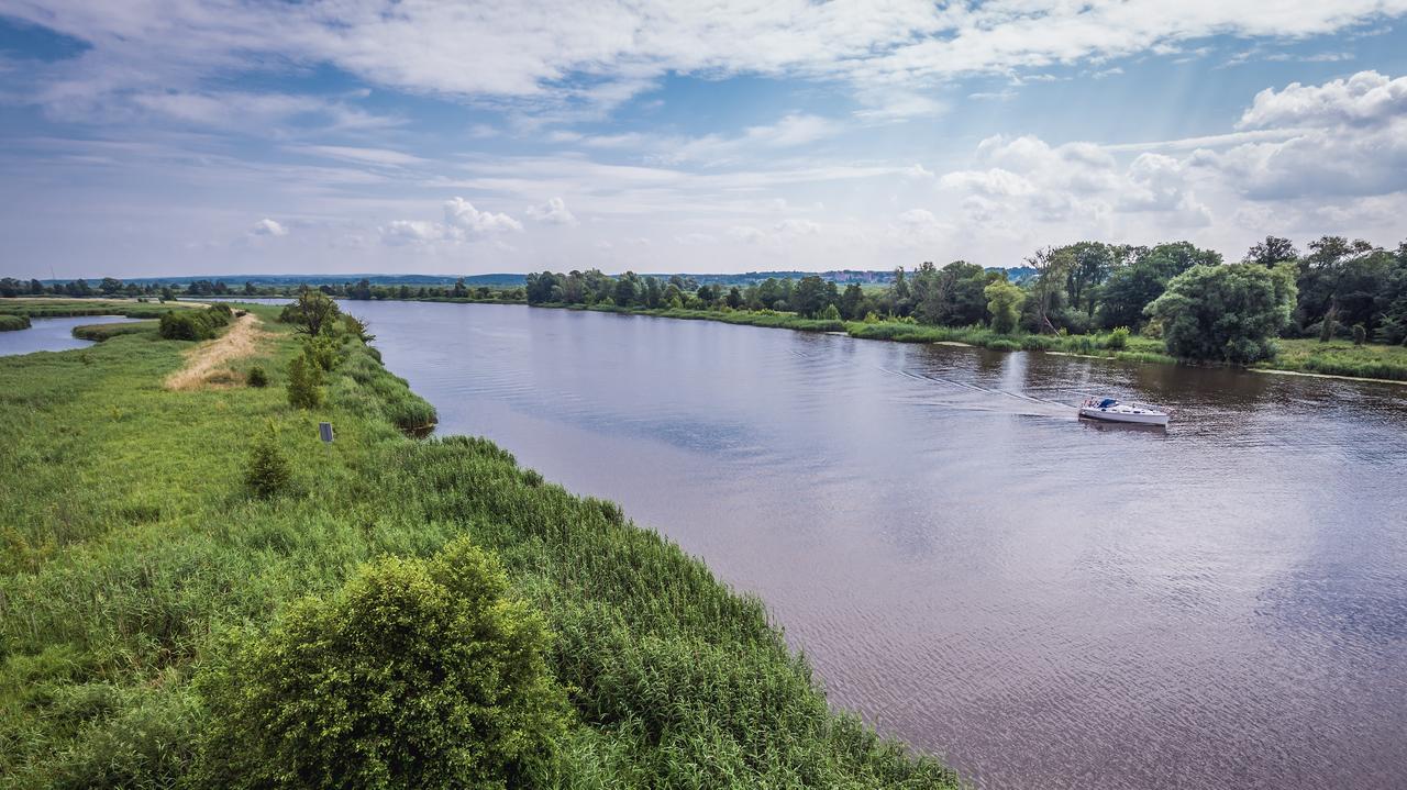 Złota alga w Odrze. Ogłoszono pierwszy stopień zagrożenia