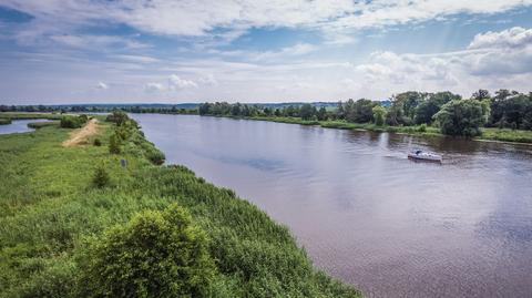 Śnięte ryby w Kanale Gliwickim. "Nadal mierzymy się ze złotą algą". Materiał z września 2023 r.