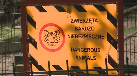 Dyrekcja gdańskiego zoo o wypadku we Wrocławiu