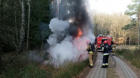 Pożar bmw w lesie nieopodal miejscowości Bystrzyna (materiał z 29.11.2021)