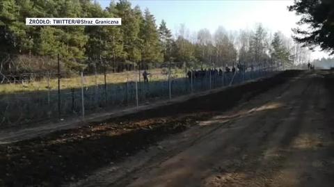 Migranci biegnący wzdłuż zasieków na polsko-białoruskiej granicy. Wideo Straży Granicznej