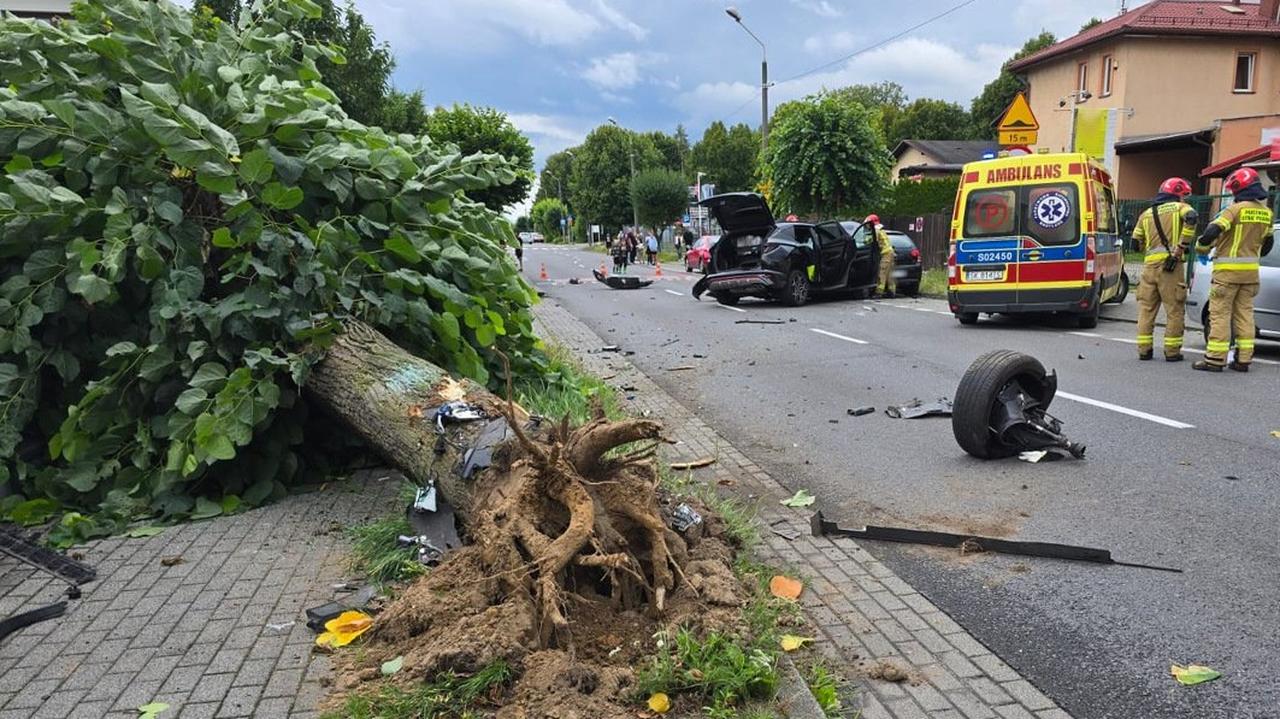 Uderzył tak mocno, że wyrwał drzewo