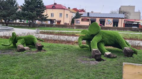 Janów Lubelski. W centrum miasta stoją dwa zielone słonie. Zostały przewrócone przez dwóch mężczyzn (18.03.2024) 
