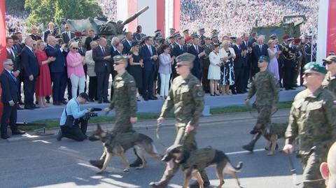 Pytania o udział psów w defiladzie okazji Święta Wojska Polskiego