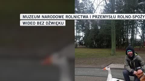 Muzeum Narodowe Rolnictwa i Przemysłu 