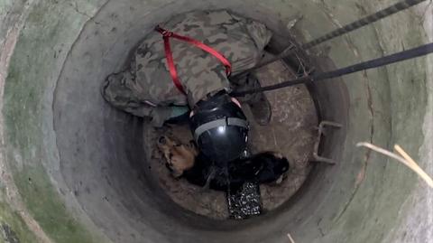 Żołnierze uratowali psa ze studni na poligonie w Kłodzku