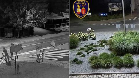 Chuligańskie wybryki w Zduńskiej Woli. Najpierw uszkodzili trzy znaki drogowe, później zerwali kwiatki