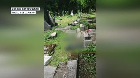 Zniszczone nagrobki na cmentarzu żydowskim (materiał z 29.06.2021)