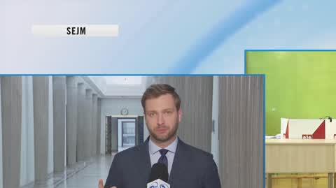 Lubnauer: sześć milionów złotych to mogą być dwa żłobki w mniejszych miejscowościach